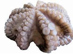 POLPO T6 AA FAO51 FIORE - 10KG
